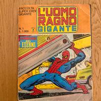 Uomo ragno gigante