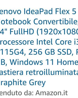 NOTEBOOK LENOVO IDEAPAD FLEX 5 14 POLLICI