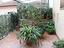 Immagine 15
