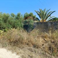 Terreno - Noto