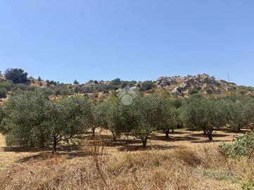 TER. AGRICOLO A PORTO EMPEDOCLE