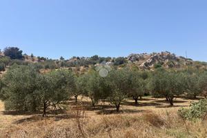 TER. AGRICOLO A PORTO EMPEDOCLE