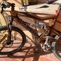 Santa cruz bullit