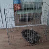 Recinto metallico a 8 moduli