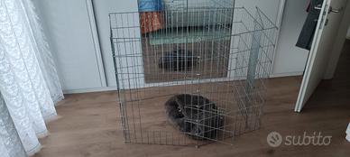 Recinto metallico a 8 moduli