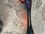 Immagine 2
