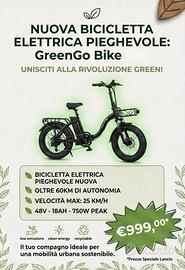 BICICLETTA ELETTRICA Trillo's Italy Nuove
