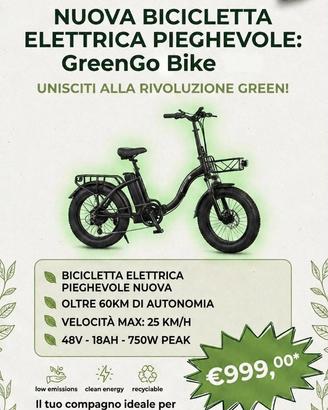 BICICLETTA ELETTRICA Trillo's Italy Nuove