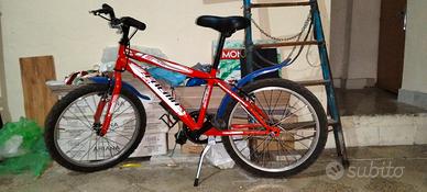 bici 20