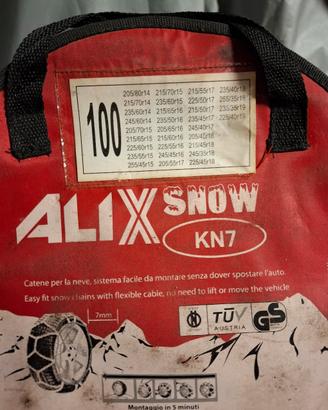 Catene da neve gruppo 100