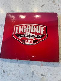 Ligabue Campo Volo 2011