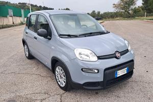 Fiat Panda 1.0 FireFly S&S Hybrid (Iva Esposta)
