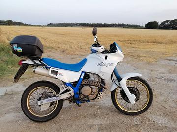 Honda dominator 650