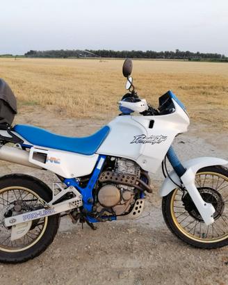 Honda dominator 650
