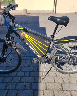 Bici elettrica doppia trazione