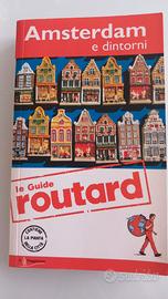 Amsterdam e dintorni
