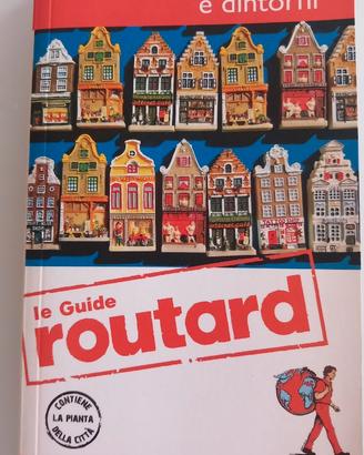Amsterdam e dintorni