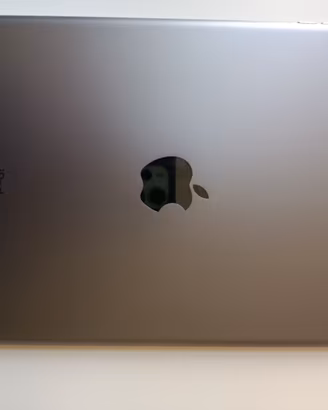 iPad Air 2  con cover usato molto poco
