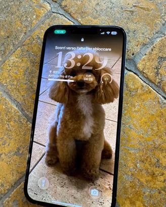 Iphone 13 pro max 128gb