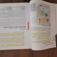 LA LETTERATURA IERI OGGI, DOMANI