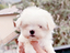Immagine 10