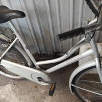 Bici da Donna