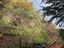 Immagine 12
