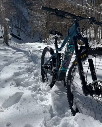 EBike Scott