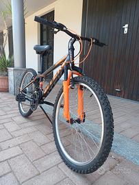 Bicicletta ragazzo  R 24