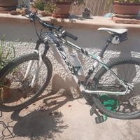 mtb Massi