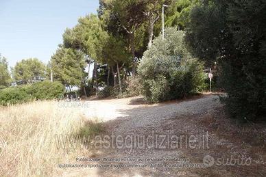 Terreno Agricolo San Vincenzo [A4359763]