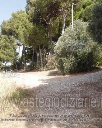 Terreno Agricolo San Vincenzo [A4359763]