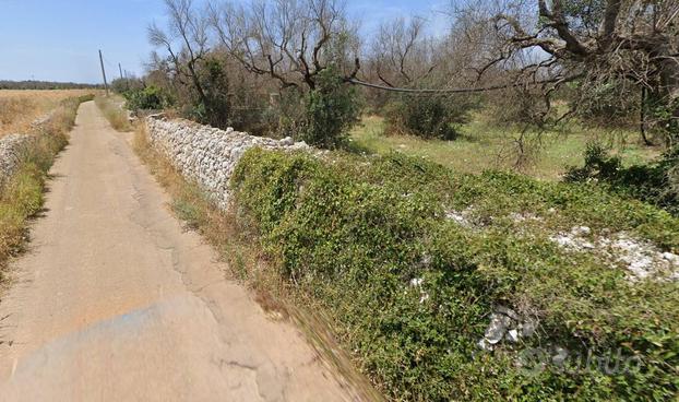 Terreno Agricolo - Ugento