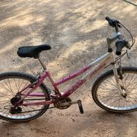 Bicicletta 24