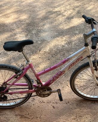 Bicicletta 24