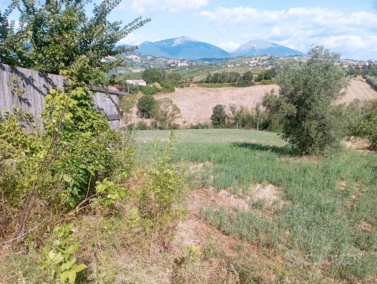 Terreno di 5 ettari con rustico - Vista 4