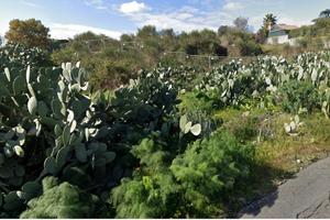 Area verde a Tremestieri Etneo