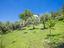 Immagine 20