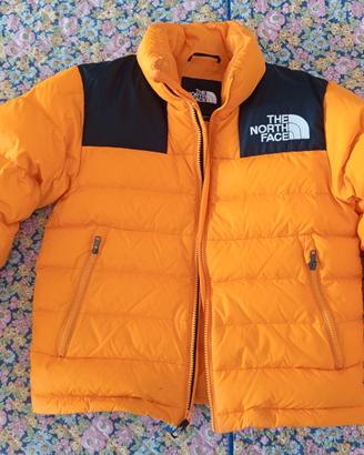 Piumino The North Face