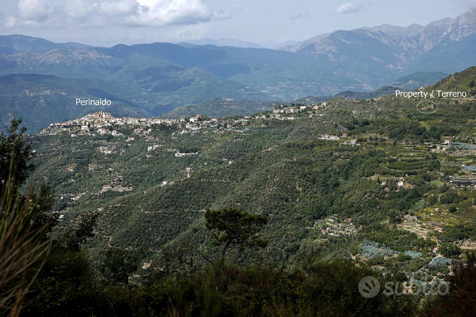 Riviera / Terreno edificabile / 600m sopra Sanremo - Vista 3