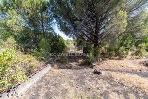 Terreno agricolo - Nicolosi