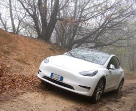 TESLA Model Y LR AWD - 2021