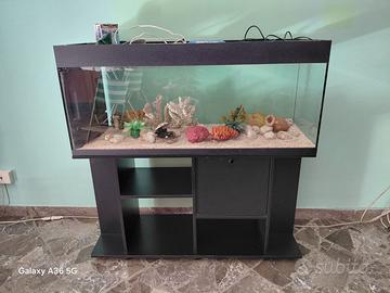 Acquario