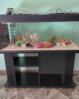 Acquario