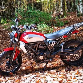 Ducati Scrambler Icon 800