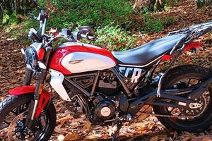 Ducati Scrambler Icon 800