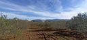ter-agricolo-a-quartu-sant-elena