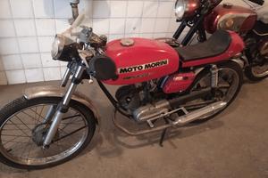 Morini Corsarino z