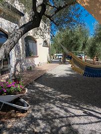 Marina di Camerota Promo pasqua