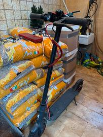 Monopattino elettrico